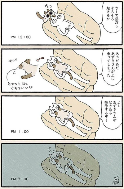 あずきさんが起きたら掃除するぞ！