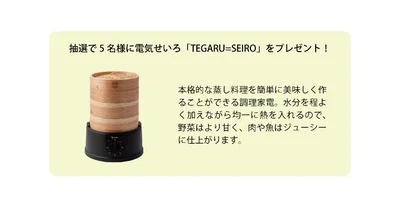 電気せいろ「TEGARU=SEIRO」18cmタイプをプレゼント