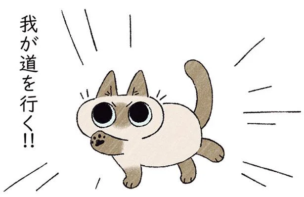 とにかく私を踏んでいく!? 我が道を進むシャム猫のトリセツ／シャム猫あずきさんは世界の中心（5）