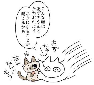 ネタになることが起こるかも