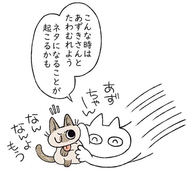 マンガのネタが思いつかない！ こんなときはねこと戯れよう／シャム猫あずきさんは世界の中心（2）