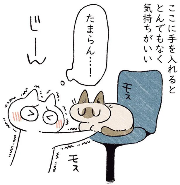 たまらん…!
