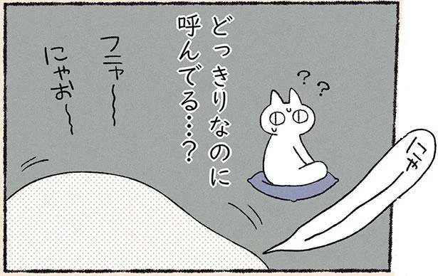 どっきりなのに呼んでる…?