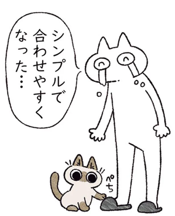 可愛いサンダルを買った！ でも諸事情でシンプルになってしまい…／シャム猫あずきさんは世界の中心（6）
