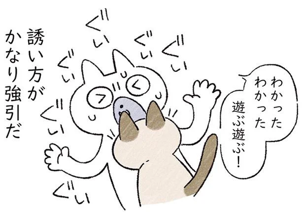 誘い方がかなり強引!? 遊んで欲しい時のウチのねこは…／シャム猫あずきさんは世界の中心（7）