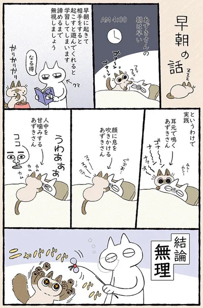 あずきさんの朝は早い