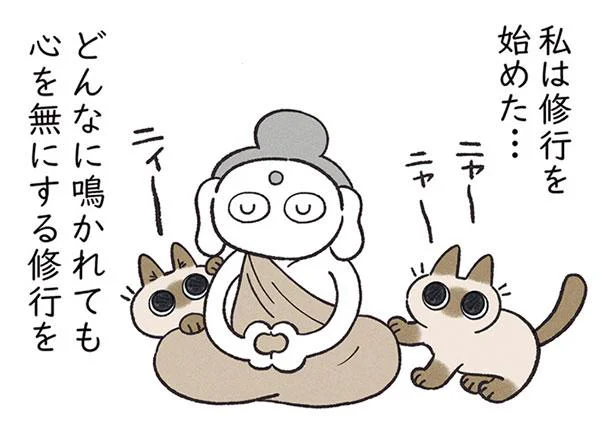 しつけのために心を無に！ だけど、すごく悲しい声を出されて…／シャム猫あずきさんは世界の中心（11）