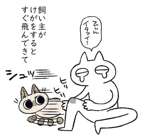 甘えん坊だけど世話焼きなねこ。飼い主がけがをするとすぐ飛んできて…／シャム猫あずきさんは世界の中心（12）