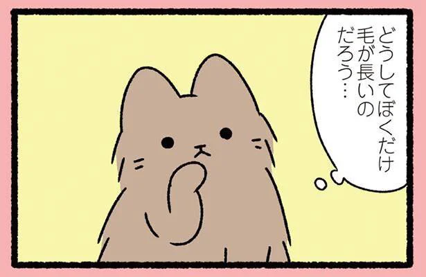 どうしてぼくだけ毛が長いのだろう…