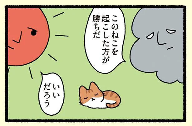 このねこを起こした方が勝ちだ