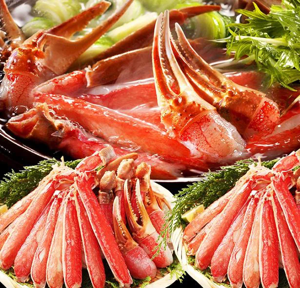 【福井県敦賀市】越前かに問屋の元祖カット済み生ずわい蟹1.2kg(総重量1.6kg)