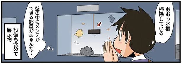 水族館の設備に興味津々。理系ならではの注目スポットとは？／新理系の人々2（5）