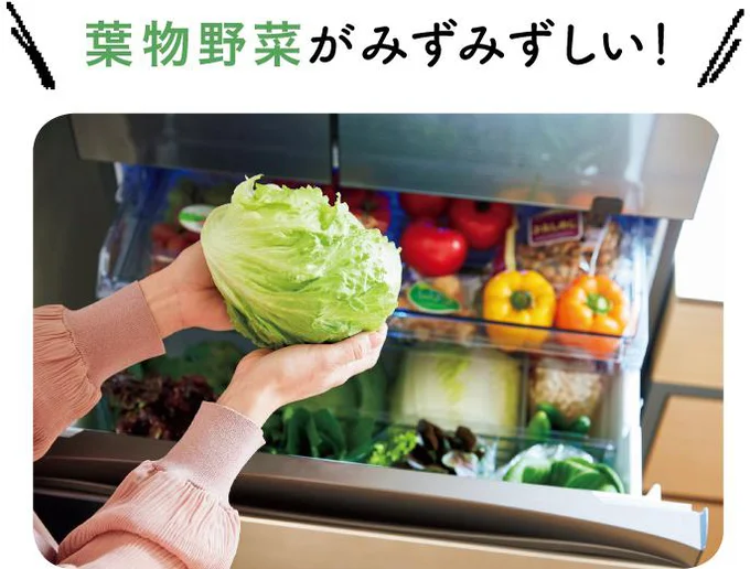 葉物野菜がみずみずしい！