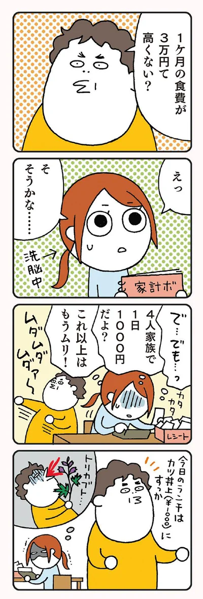 1ヶ月の食費3万円は高い？そうかな…