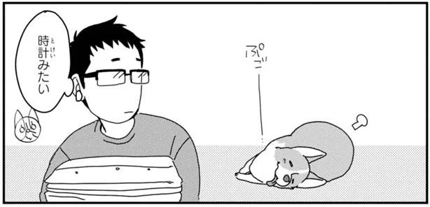時計みたい