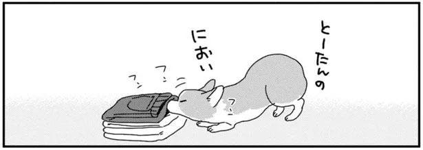 フンフン、とーたんのにおい