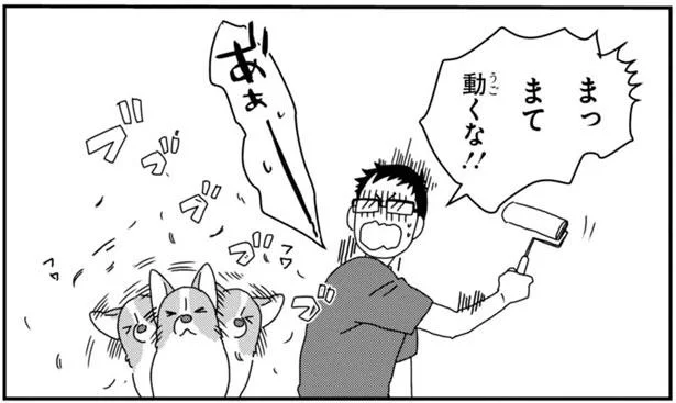 まて、動くな