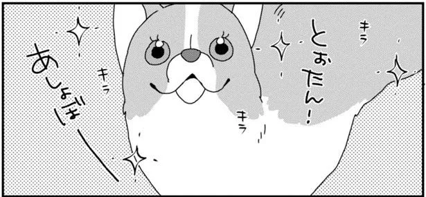 キラキラ!とぉたん!