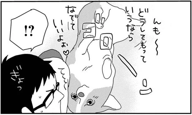 どうしてもっていうなら、なでていいよぉ