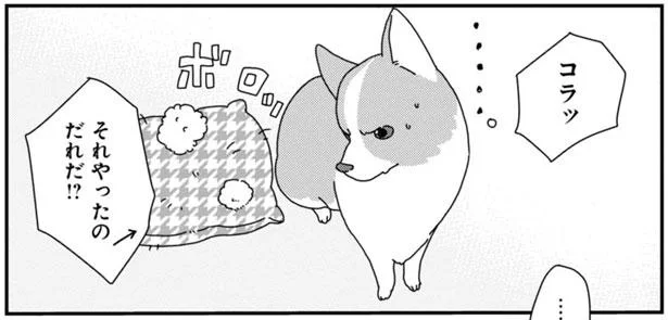 それやったのだれだ!?