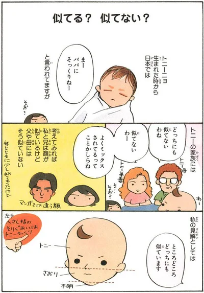 誰に似てる？みんなの見解