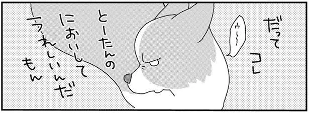 だってコレ