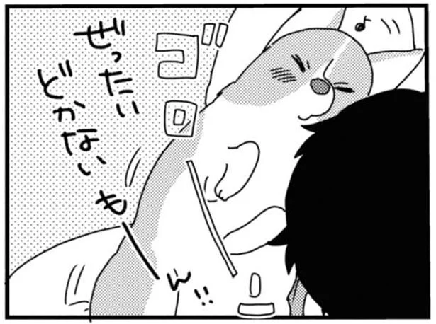 ぜったいどかないもーん!!