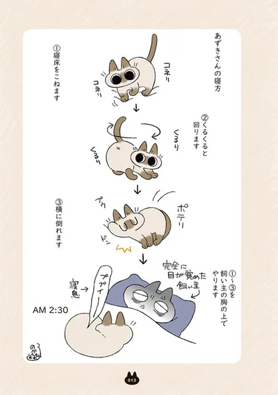 あずきさんの寝方