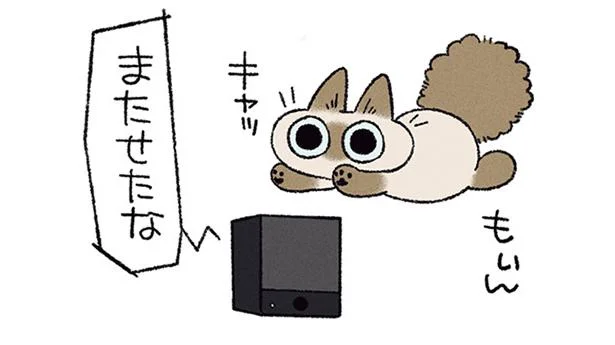基準はよくわからないけど…うちのシャム猫にとっての怖いもの／もっと!! シャム猫あずきさんは世界の中心（3）