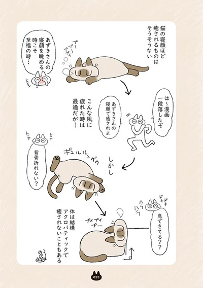 猫の寝顔ほど癒やされるものはそうそうない