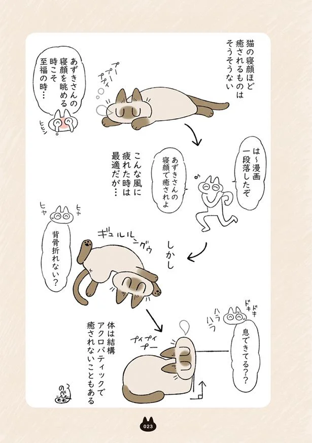 猫の寝顔ほど癒やされるものはそうそうない