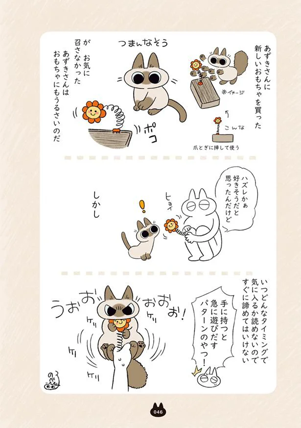 コロコロ大好きなねこ VS 掃除をしたい飼い主/もっと!! シャム猫