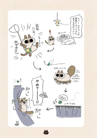 昆虫ハンターあずきさん