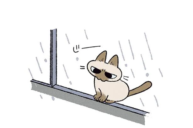 外はどしゃ降り！ でもベランダへの窓を開けてほしいらしくて…／もっと!! シャム猫あずきさんは世界の中心（9）