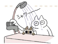 シャワーで大パニック！ お風呂場は好きなのに入浴嫌いなねこ／もっと!! シャム猫あずきさんは世界の中心（10）