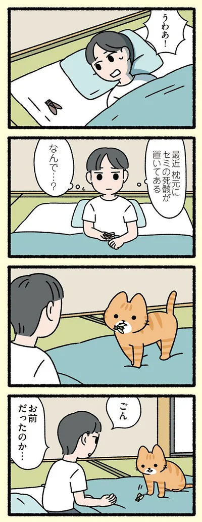 ごんぎつねなねこ