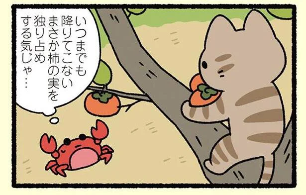 まさか柿の実を独り占めしようとしているのでは!? と思いきや「さるかに合戦なねこ」／にゃんと！ねこむかしばなし（5）