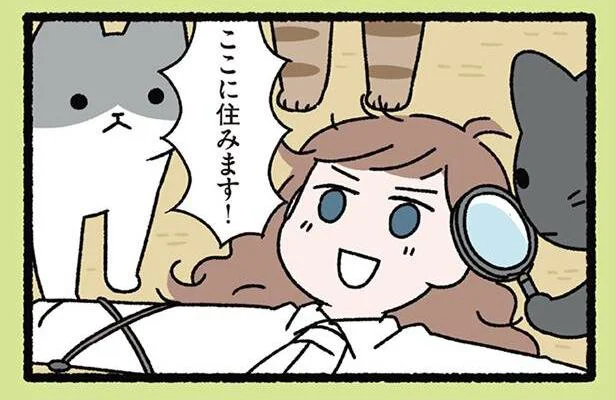 嵐に巻き込まれ、たどり着いた先は？ガリバーがここに住みたいと思ったワケ「ガリバーとねこ」／にゃんと！ねこむかしばなし（9）