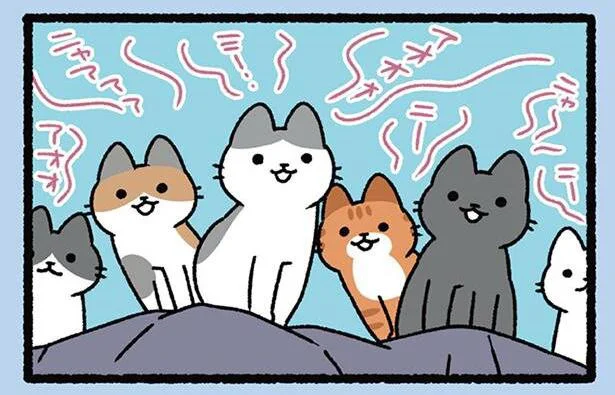 声で惑わせるねこ