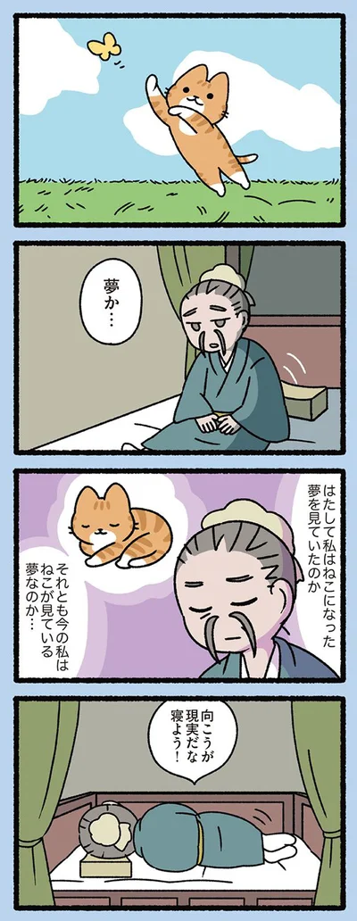 胡蝶の夢のねこ