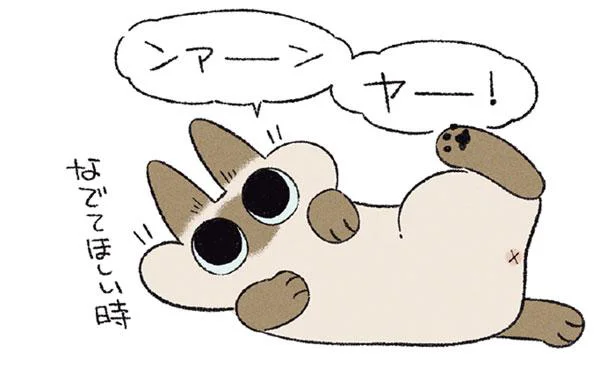 鳴き方が独特なうちのねこ。「ウンヤー！」なにその声!?／まだまだ!!! シャム猫あずきさんは世界の中心（1）