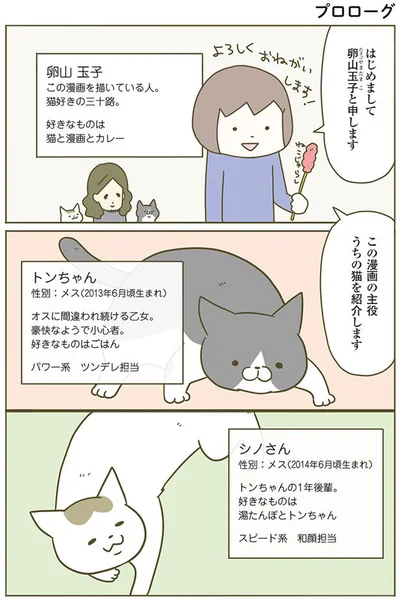 主役のねこをご紹介します