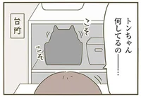 性格が違う2匹のねこ。それぞれのちょっと変わった行動とは？／うちの猫がまた変なことしてる。（1）