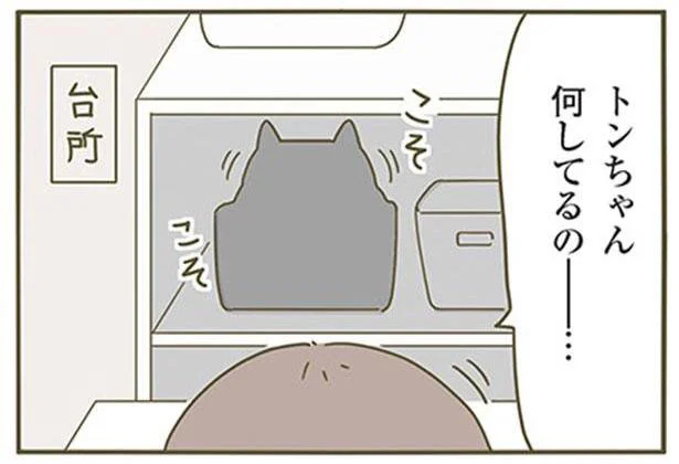 性格が違う2匹のねこ。それぞれのちょっと変わった行動とは？／うちの猫がまた変なことしてる。（1）