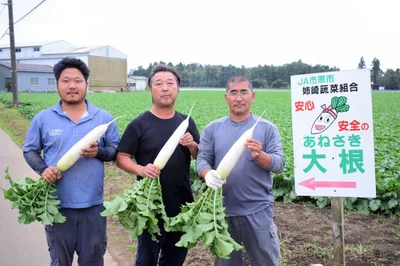 「姉崎だいこん」生産者のみなさん