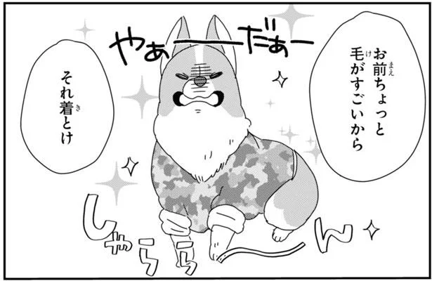 これから寒くなるのになぜ抜ける コーギーの換毛期がやってきた あしょんでよッ うちの犬ログ 7 1 レタスクラブ