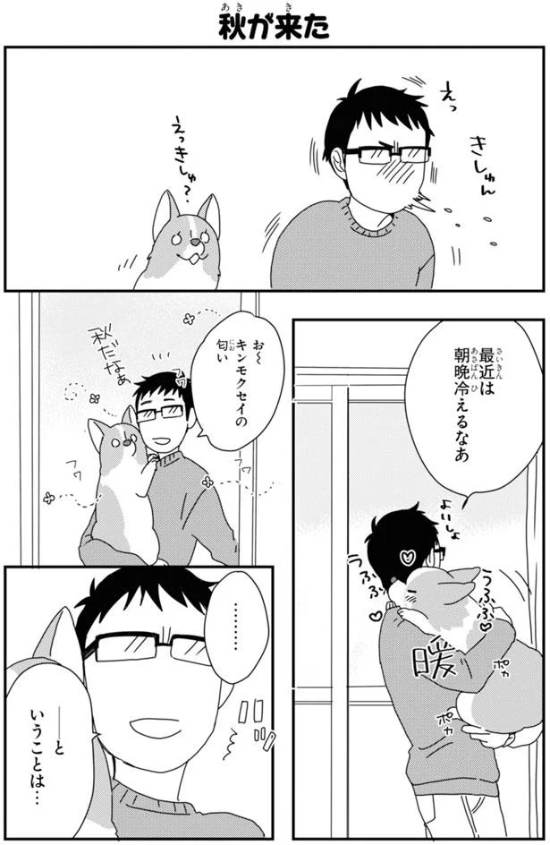 これから寒くなるのになぜ抜ける コーギーの換毛期がやってきた あしょんでよッ うちの犬ログ 7 1 レタスクラブ