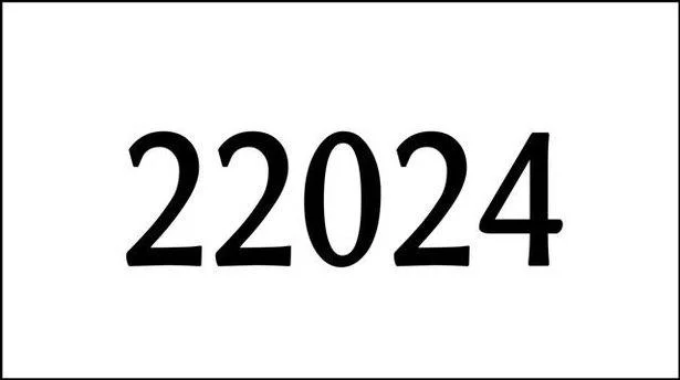 22024