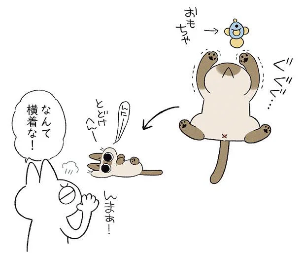 なんて横着な！ と思ったら、その姿は飼い主にそっくりでした／まだまだ!!! シャム猫あずきさんは世界の中心（3）