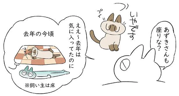 去年は気に入ってたのに…電気カーペットを出してみた結果／まだまだ!!! シャム猫あずきさんは世界の中心（4）